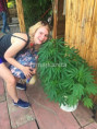 /album/fotogaleria-jamajka-vy-a-my/0-12-jpg1/